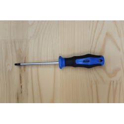 Destornillador Punta Torx T 25 X 100 Mm