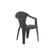 Silla Pp Wengue Dream -