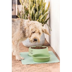Comedero Mascotas Verde -