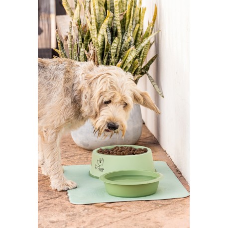 Comedero Mascotas Verde -