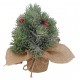 Maceta Pino Navidad 25 Cm