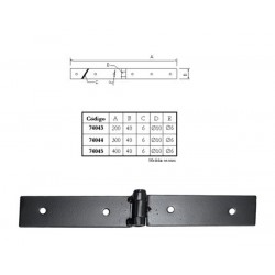Bisagra Atornillar 300x40 Mm