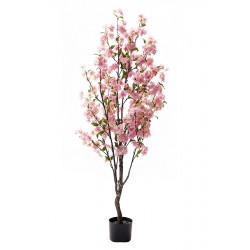 Arbol Almendro 140 Cm