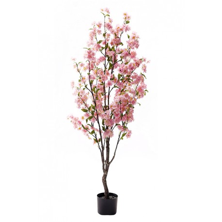Arbol Almendro 140 Cm