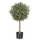 Arbol Olivo 100 Cm
