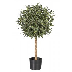 Arbol Olivo 100 Cm