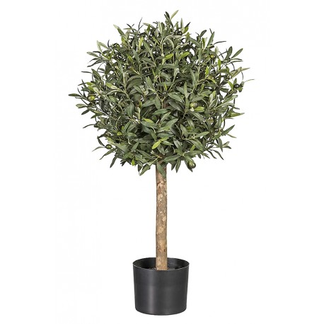 Arbol Olivo 100 Cm