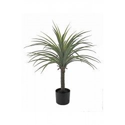 Planta Yucca 70 Cm