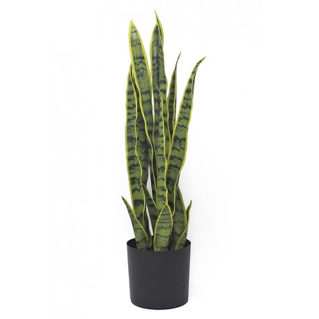 Planta Sansiveria 57 Cm