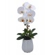 Planta Phalenopsis C/maceta Ceramica 54 Cm