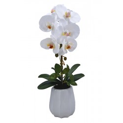 Planta Phalenopsis C/maceta Ceramica 54 Cm