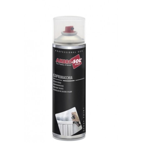 Pintura Antimanchas Aerosol 500 Ml