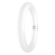 Tubo Led Circular 865 T9c G10q 6500k 1320 Lm 11w