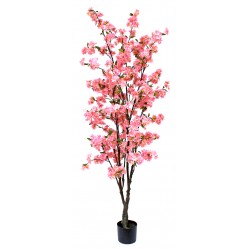 Arbol Almendro 180 Cm