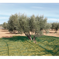 Manta Recoger Oliva/almendra Verde 3x6 M