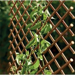 Celosia Extensible Mimbre 0,5x1,5m