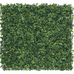 Jardin Vertical Valle 100x100 Cm