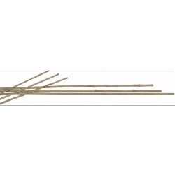 Mazo 3 Tutores Bambu 180 Cm 14/16 Mm