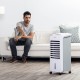 Climatizador Humidificador 80 W