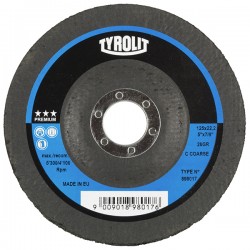 Disco De Limpieza Premium 125x22,2mm