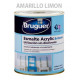 Esmalte Acrilico Brillante Amarillo Limon 250ml Bruguer 1040