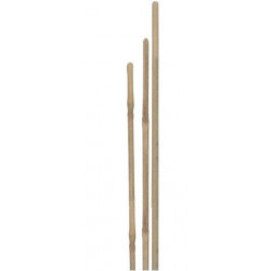 Tutores Bambu 120 Cm. (¨ 10/12 Mm.) Mazo De 5 Ud. B2122