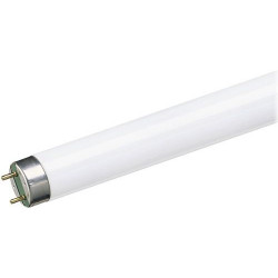 Tubo Fluorescente Trifosforo 36w 865 Luz Fria Osram