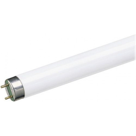abajo Hacer la cama barro Comprar Tubo Fluorescente Trifosforo 18w 865 Luz Fria Osram en MasFerreteria abajo Hacer la cama barro Comprar Tubo Fluorescente Trifosforo 18w 865 Luz Fria Osram en MasFerreteria