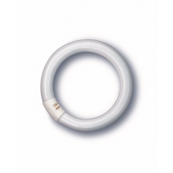 Tubo Ilumin Fluoresc Trifosforo Circular 22w 6500 K Osram