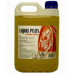Lavavajillas Maquina Todo Tipo Aguas Garrafa 5lt Lajau Plus