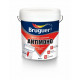 Pintura Plastica Mate Antimoho Blanco 4l Bruguer