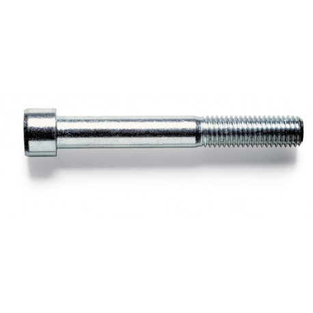 Tornillo Allen 912 8.8 06x010mm Cinc Fontana 200 Pz