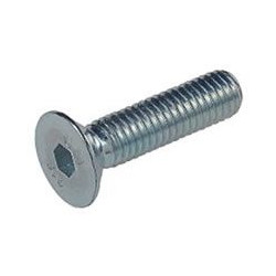 Tornillo Allen 7991 10.9 10x020mm Pavon. Fontana 200 Pz