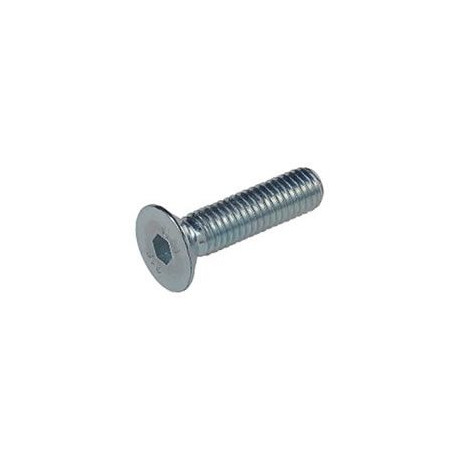 Tornillo Allen 7991 10.9 10x030mm Pavon. Fontana 200 Pz