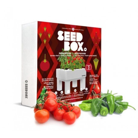 Huerto Urbano Kit 25x25x8cm Tomate Cherry Seedbox Mesa Pimie