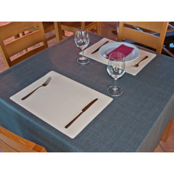 Salvamantel Mesa 42x30cm Crudo Antimanchas Dintex