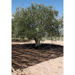 Malla Recol. 4x8mt Aceitunas Natuur Ne Confecc. Nt128213