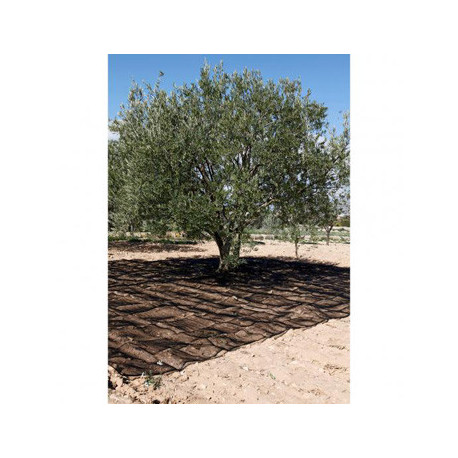 Malla Recol. 4x8mt Aceitunas Natuur Ne Confecc. Nt128213