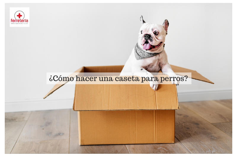 ¿Cómo hacer una caseta para perros?