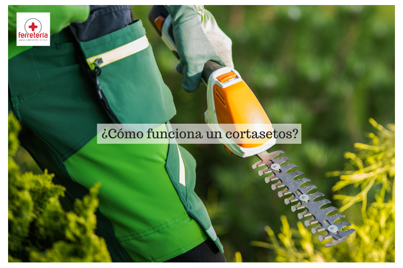 ¿Cómo funciona un cortasetos? Aprende a sacarle el máximo partido