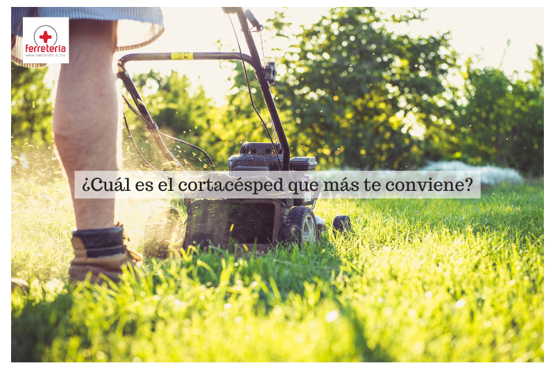 Cortacésped: ¿Cuál es el que más te conviene?