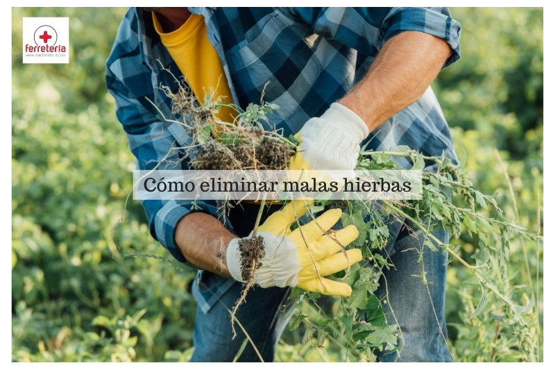 Cómo eliminar malas hierbas para siempre