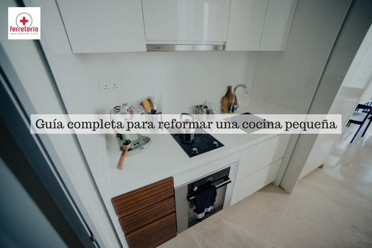 Greta Fedeli
