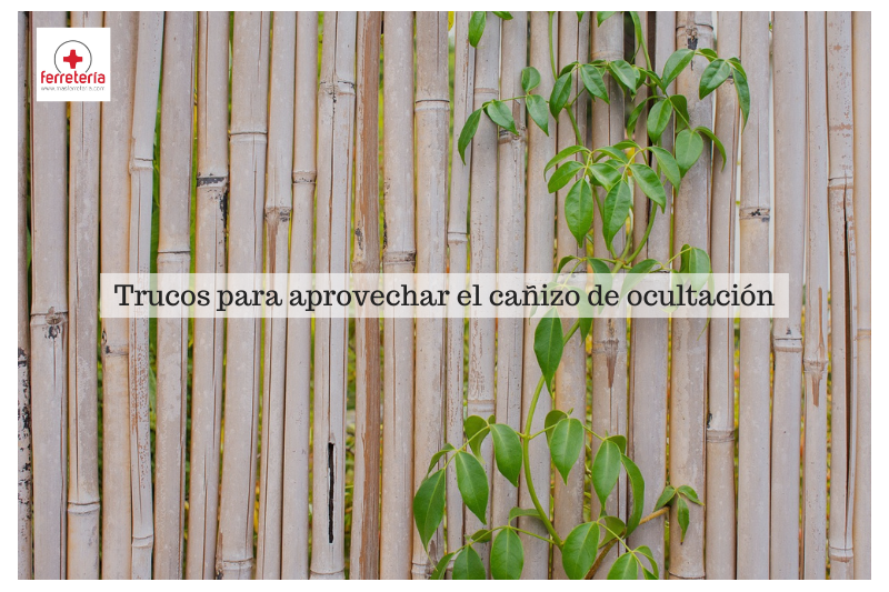 Trucos para sacar mayor provecho de un cañizo ocultación
