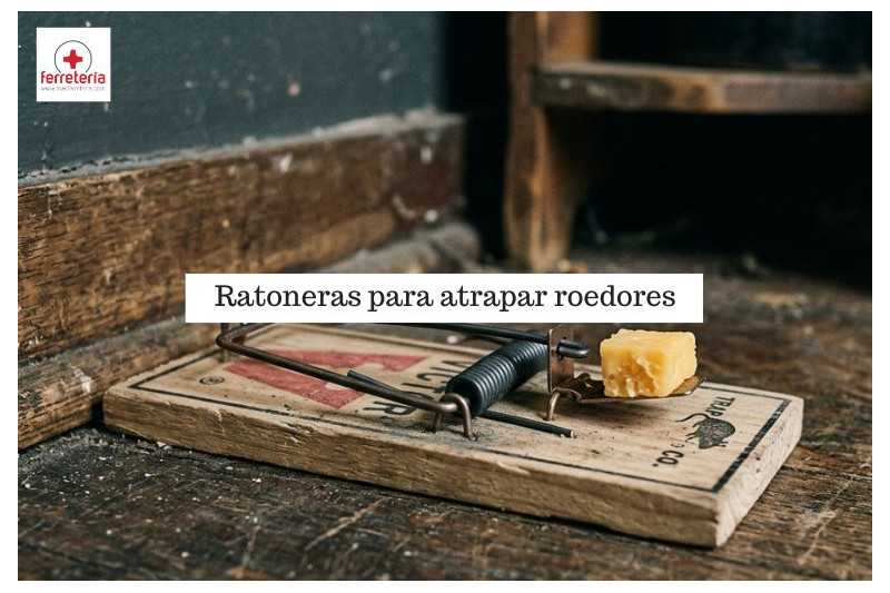 Ratoneras eficaces para mantener tu hogar libre de roedores