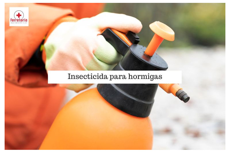 Insecticida para hormigas, un método efectivo para eliminarlas