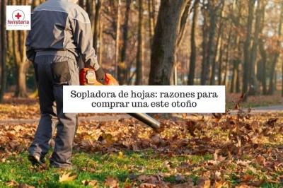 Razones para comprar una sopladora de hojas este otoño
